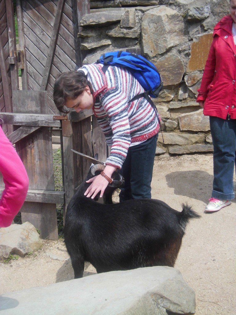 Návštěva zoologické zahrady Brno 28. 6. 2013, 2.7.2013
